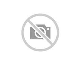 T-SHIRT DRY FIT MAHALO ESSENTIAL TWO